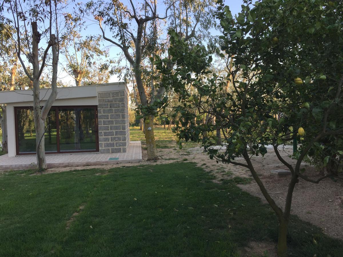 Tenuta Monaci La Murra Carmiano  Bagian luar foto